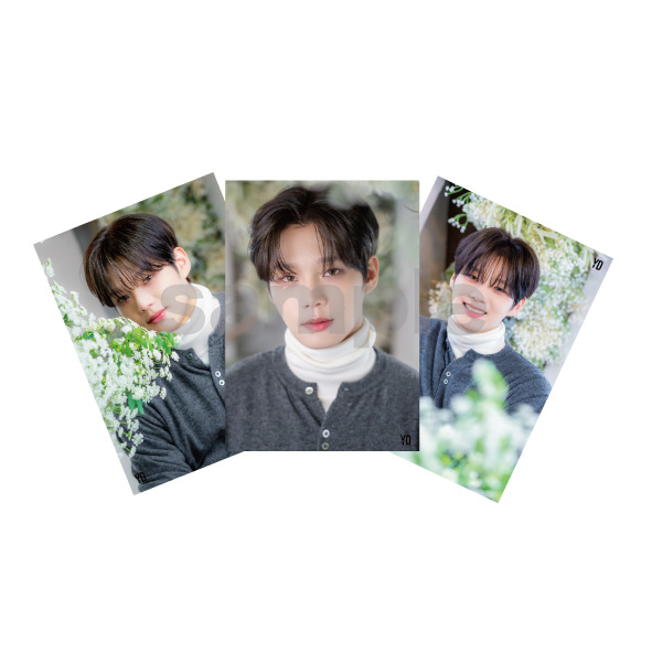 “YD「花びら」”ブロマイド（ランダム2枚組）