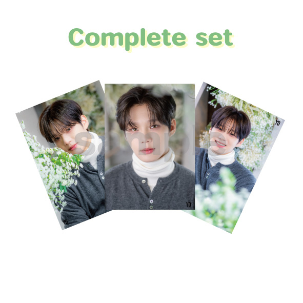 “YD「花びら」”ブロマイド（コンプリートセット）