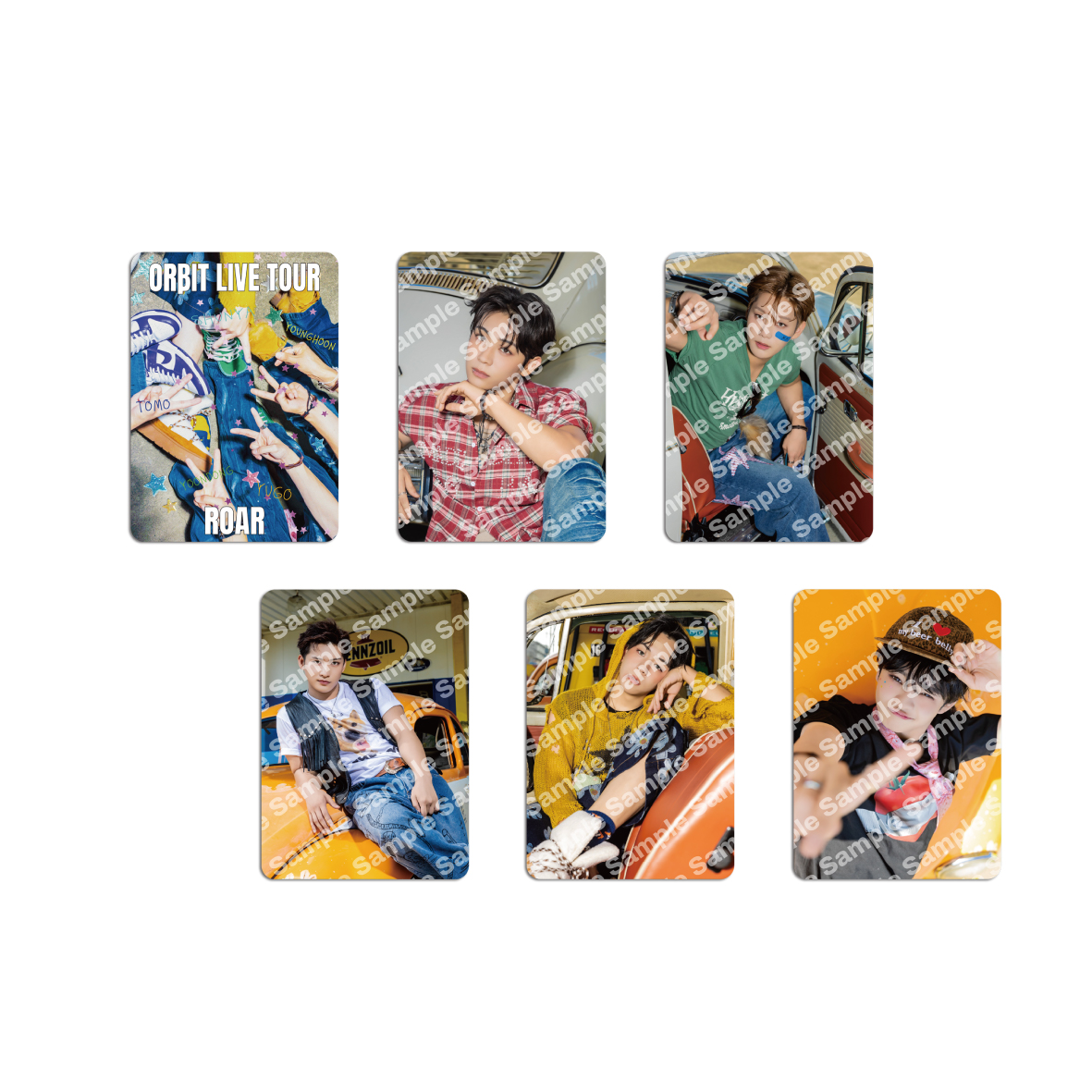 “ROAR” ランダムトレーディングカード